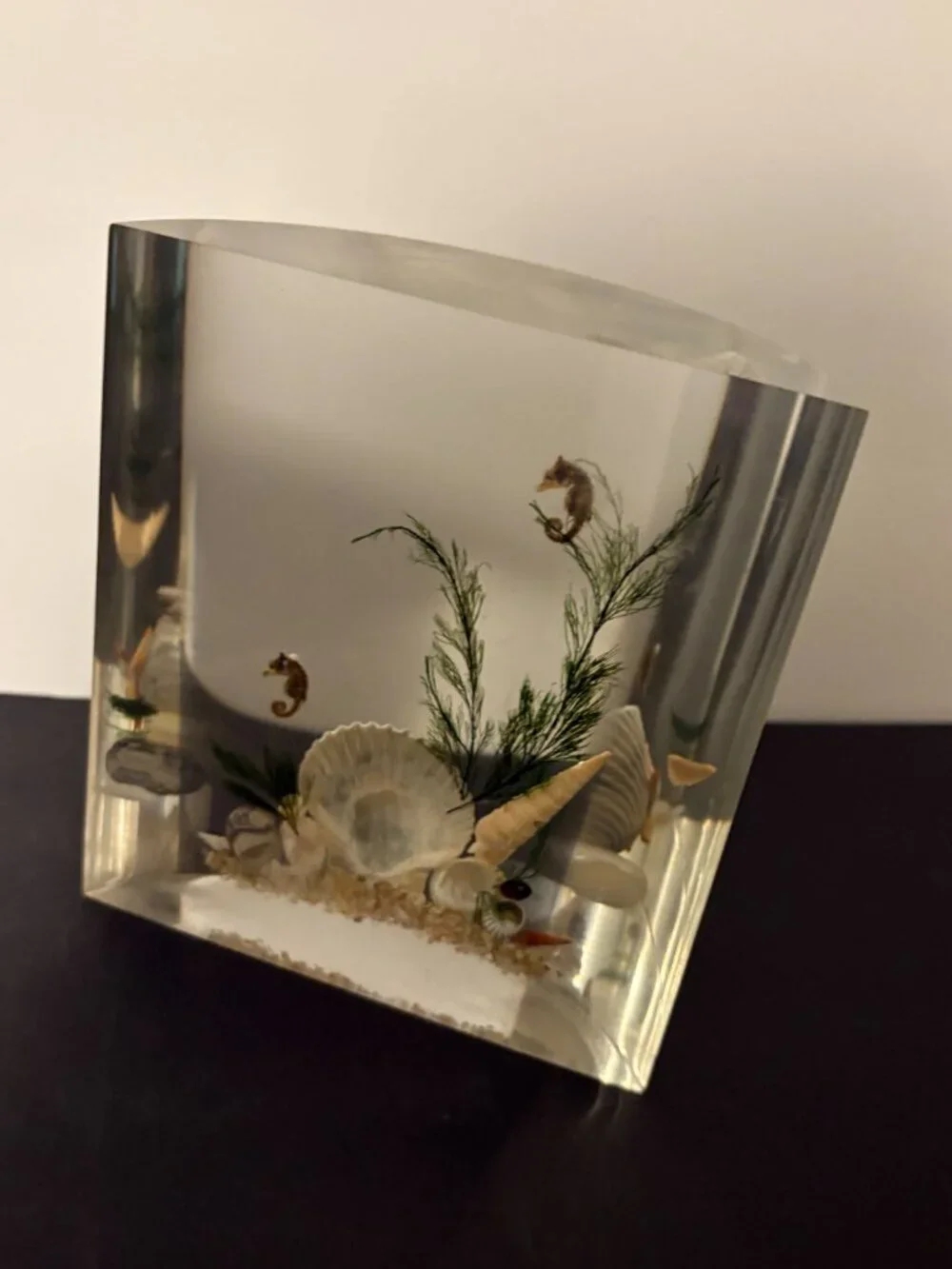 Vintage Acrylic Clear Float Seashell Single Bookend